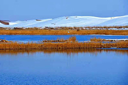 平羅網(wǎng)站建設(shè)