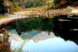 邵原網站建設