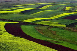 卓資網(wǎng)站建設