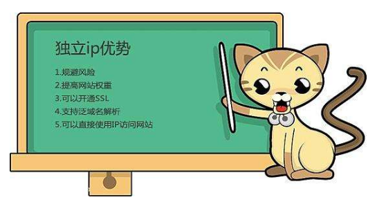 虛擬主機(jī)有獨(dú)立IP嗎？