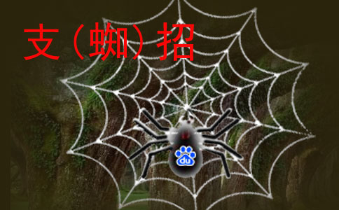 如何降低企業做網站的優化成本?