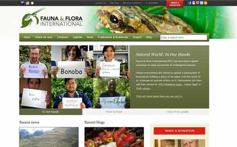 5個網站設計技巧提升銷售額 5個網站設計技巧提升銷售額