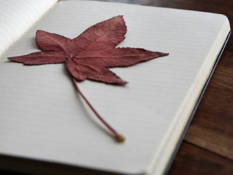 seo需要每天寫原創文章嗎?