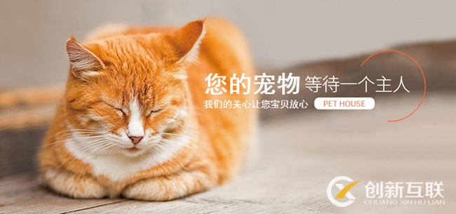 寵物網(wǎng)站模板如何選擇?