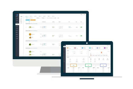 上海網(wǎng)站建設公司