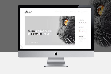 上海網站優化 上海網站優化